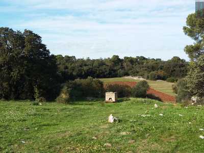 A destra e a sinistra si trovano dei campi coltivati, addolciti da piccole doline dal colore verde e rossastro